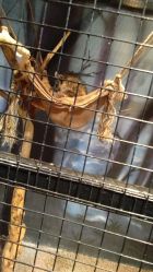 -酷嗒动物文化乐园(cutezoo西溪乐天城店)