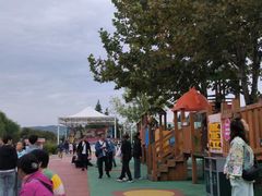 -羊亭河湿地公园