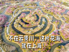 -花开海上生态园