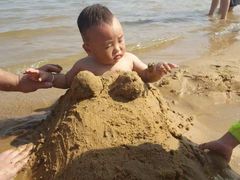 -碧海金沙