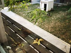 -雕刻时光咖啡馆(师大路店)