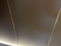 -华夏良子·足道SPA艾灸(王府井店)