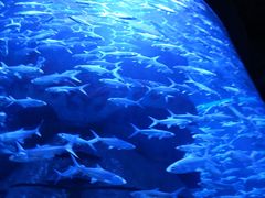 -波塞冬旅游度假区