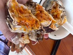 -喜洋洋蟹庄(阳澄湖店)