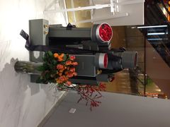-ROSEONLY诺誓(广州K11店)