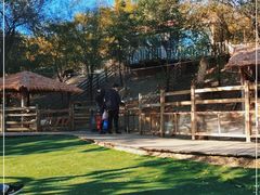 -北京鹿世界主题园