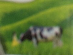 -京味斋·北京烤鸭(华威桥北工大店)