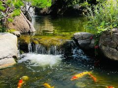 -罗红摄影艺术馆