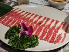 -禄婶鸡煲·打边炉