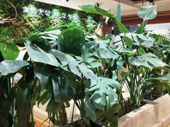 -云海肴汽锅鸡·云南小炒(曲江大悦城店)