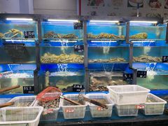 水产区-桔子海鲜烧烤大排档(金沙滩店)