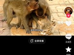 -昆明动物园
