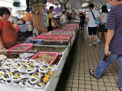 -南沙十九涌渔人码头-南门