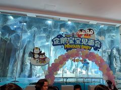 -帝企鹅自助餐厅•儿童岛•真企鹅(长隆企鹅酒店)