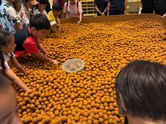 -上海崧泽遗址博物馆