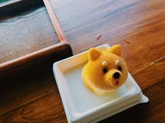 -柴犬高等学院·狗咖·柴犬售卖·宠物训练