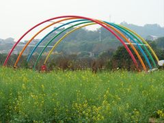 -长洲岛