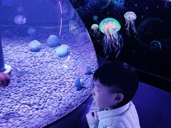 -成都浩海立方海洋公园