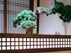 -揽季锅物会.福建黄鱼.海鲜姿造(五四路店)