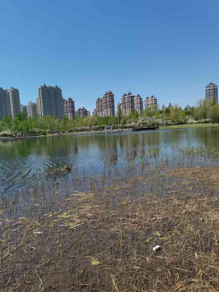 群力丁香公园-"丁香公园在群力景江东路上,面积很大,跟公.