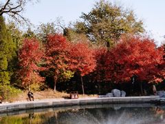 -香山公园