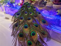 -涨巢·潮玩水疗局