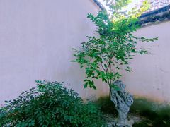 -拙政园