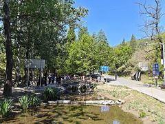 -白水寺森林公园