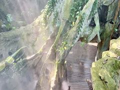 -青青世界