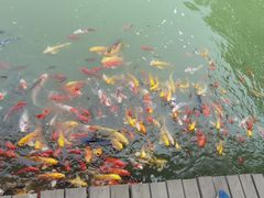 -泰安地下龙宫景区