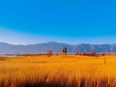 -野鸭湖国家湿地公园