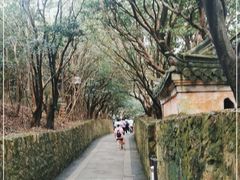 -普陀山风景区-佛顶山