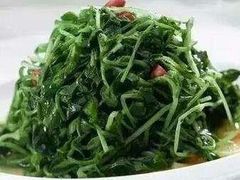 炒豆苗-怡园饭店-餐厅(四望亭店)