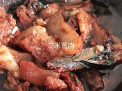 -食家鸽园