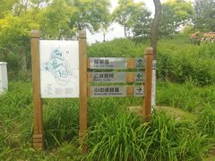 -东郊湿地公园