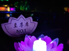 -印象普陀