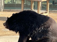 -石家庄市动物园