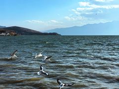 -大理洱海