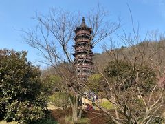 -牛首山文化旅游区