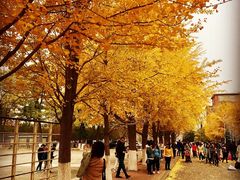 -辽宁大学(崇山校区)