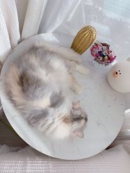 -Beauty Nails 美甲美睫皮肤管理