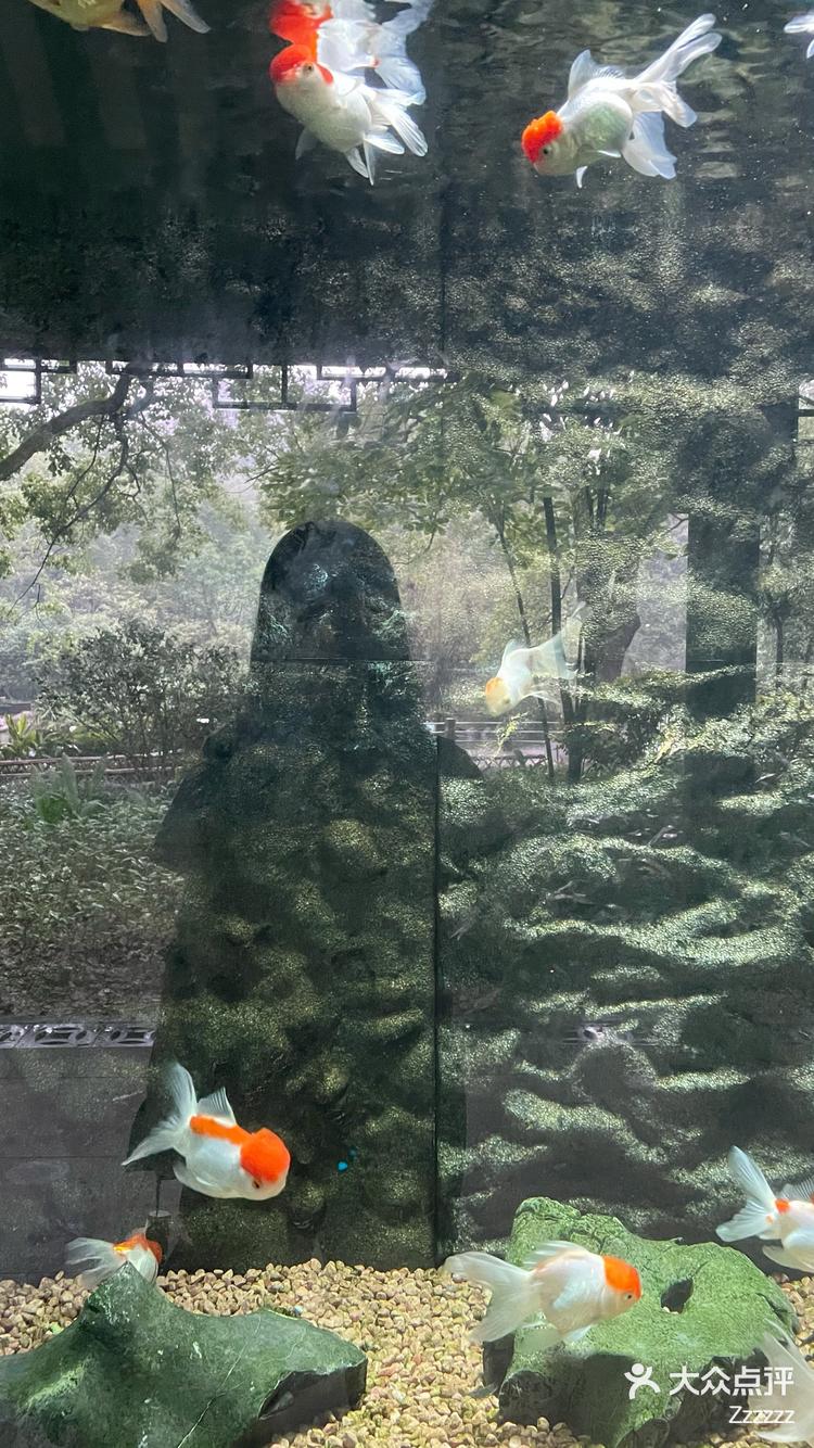 8 3 / 8 4 / 8 5 / 8 6 / 8 7 / 8 8 / 8 打开app查看高清大图 zzzzzz