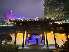 -绳金塔