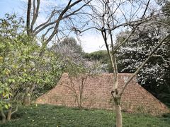 -中国茶叶博物馆(双峰馆区)