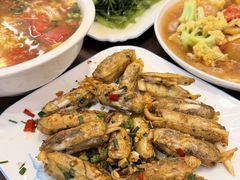 -老杨饭店(万科里店)