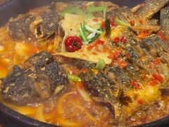 -老板恋上鱼(恒隆广场店)