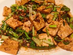 荆芥烧信阳地锅豆腐-阿五黄河大鲤鱼(英协路店)