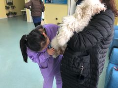 -瑞鹏宠物医院·爱宠堂·骨外专科(西荷分院)