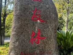 -浙江科技大学(小和山校区)