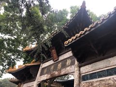 -中国观音故里广德景区